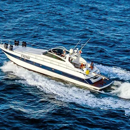 بوتيل Sealine Whiteshell