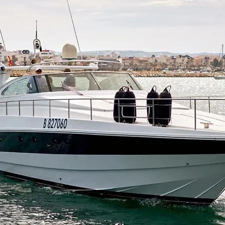 Sealine Whiteshell بوتيل *