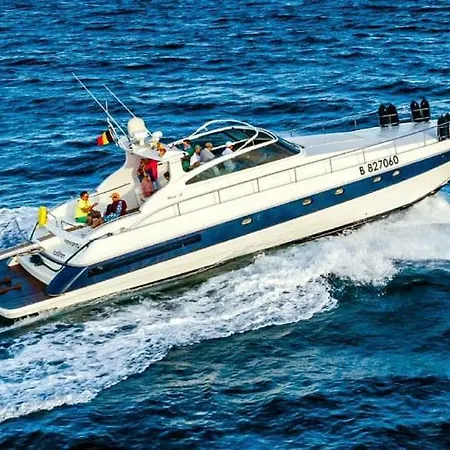 Sealine Whiteshell بوتيل *