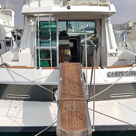 بوتيل Sealine Whiteshell