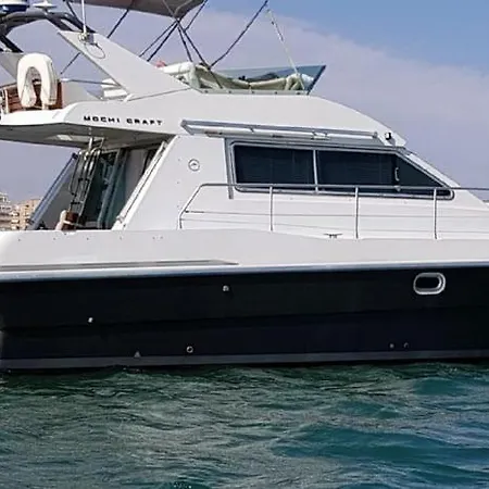 Sealine Whiteshell بوتيل تورّيفيِخا