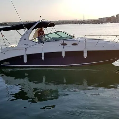 بوتيل Sealine Whiteshell
