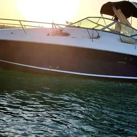 بوتيل Sealine Whiteshell *