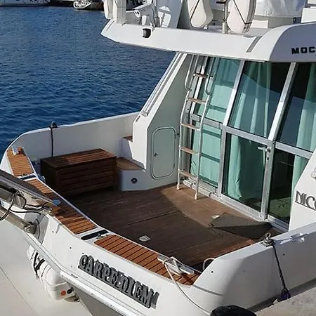 Sealine Whiteshell بوتيل