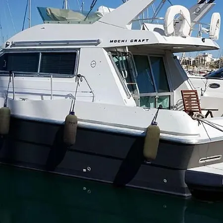 Sealine Whiteshell بوتيل تورّيفيِخا