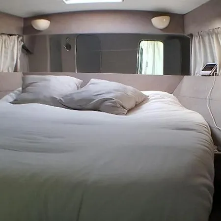 Sealine Whiteshell بوتيل تورّيفيِخا